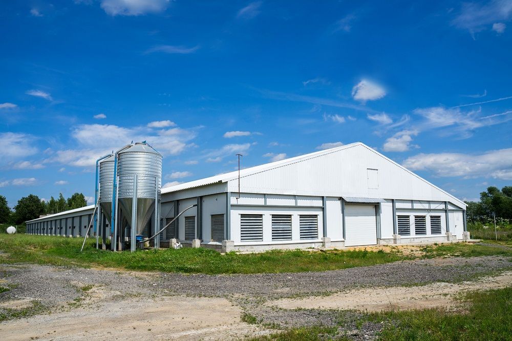 Птицеферма под ключ