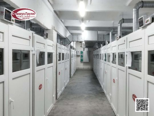 инкубатор автоматический Стимул