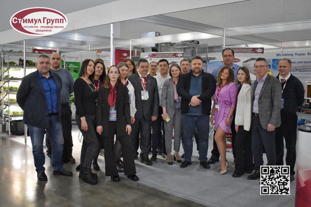 стимул групп команда